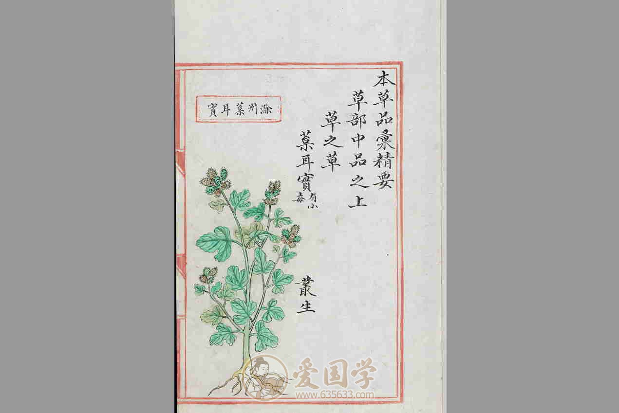 -第3张插图