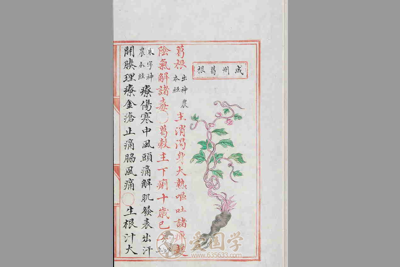 -第4张插图