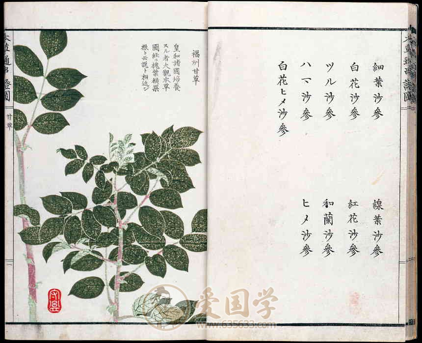 -第3张插图