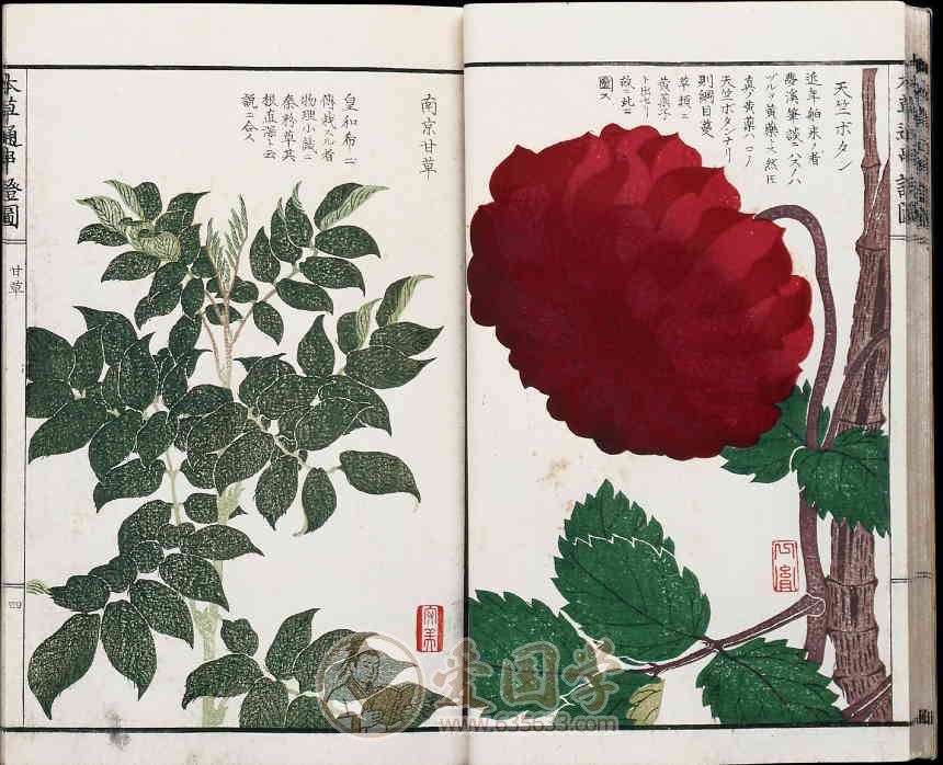 -第4张插图