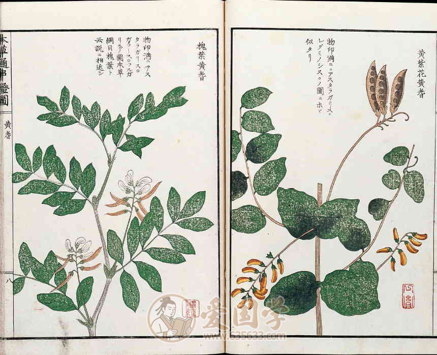 -第5张插图