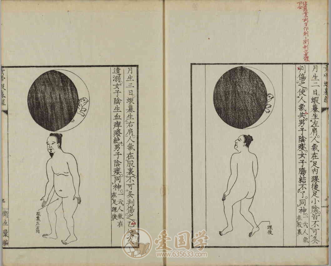 -第2张插图