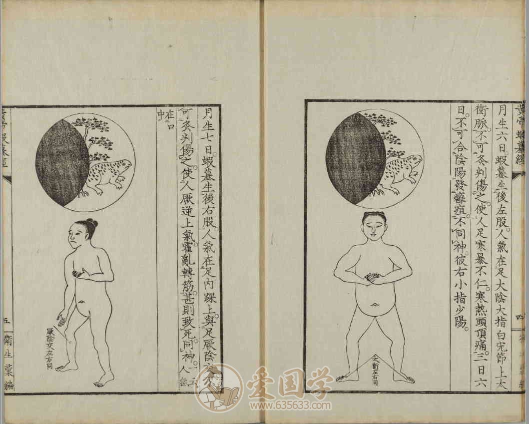 -第3张插图
