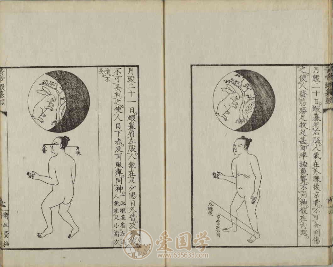 -第4张插图