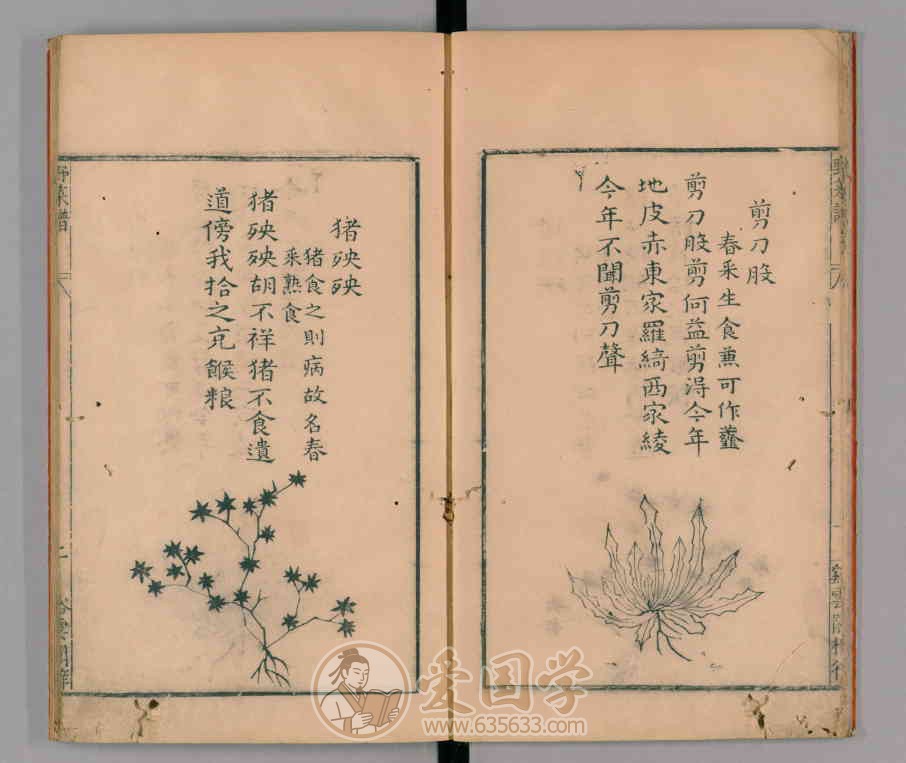 -第2张插图