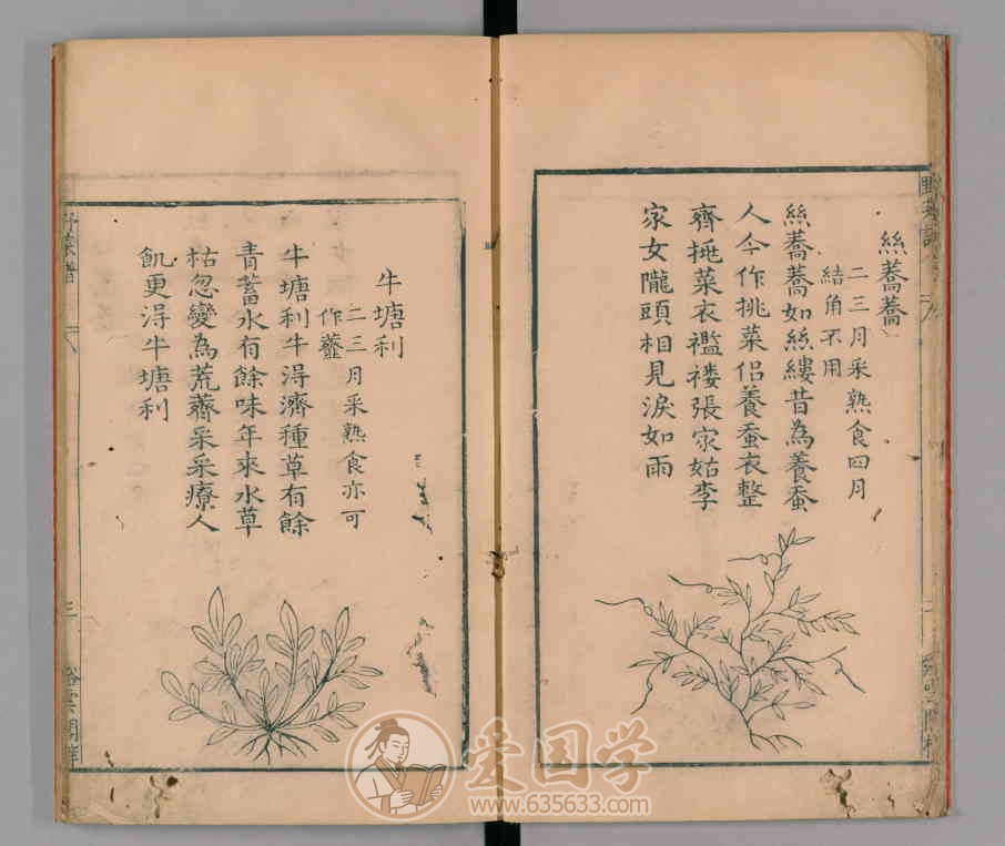 -第4张插图