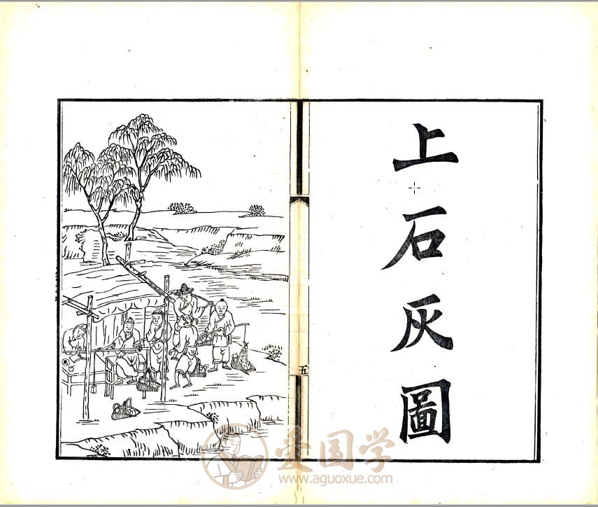 -第2张插图