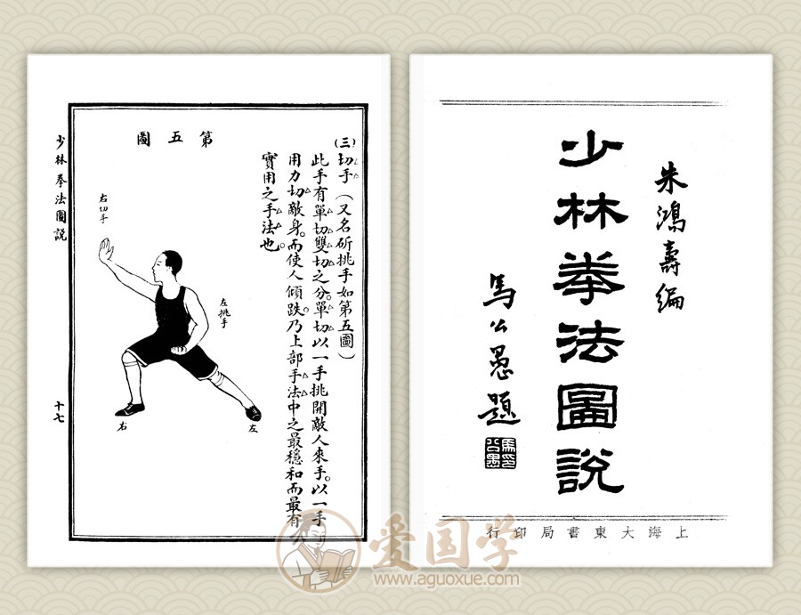 《少林拳法图说》拳术教程书籍排版 PDF源文件下载