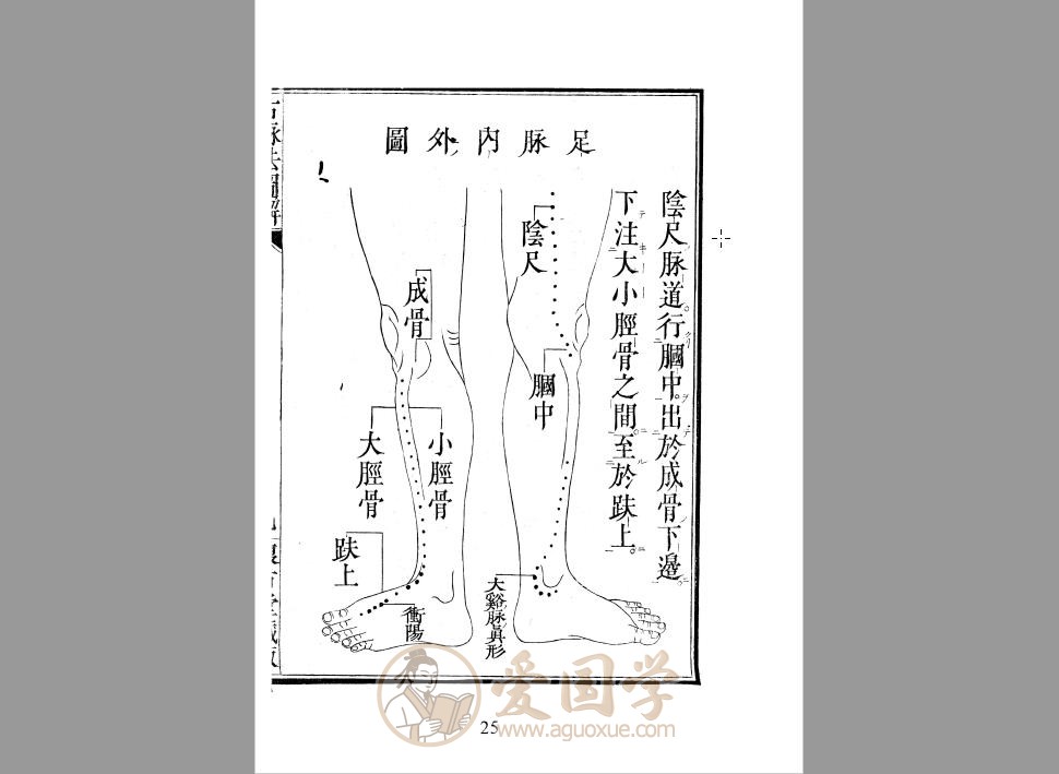 -第2张插图